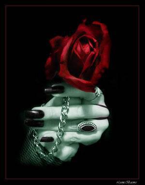 rose